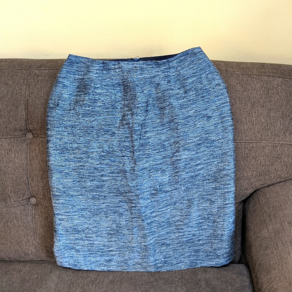 Blue Dana Buchman Petite Skirt - 2P